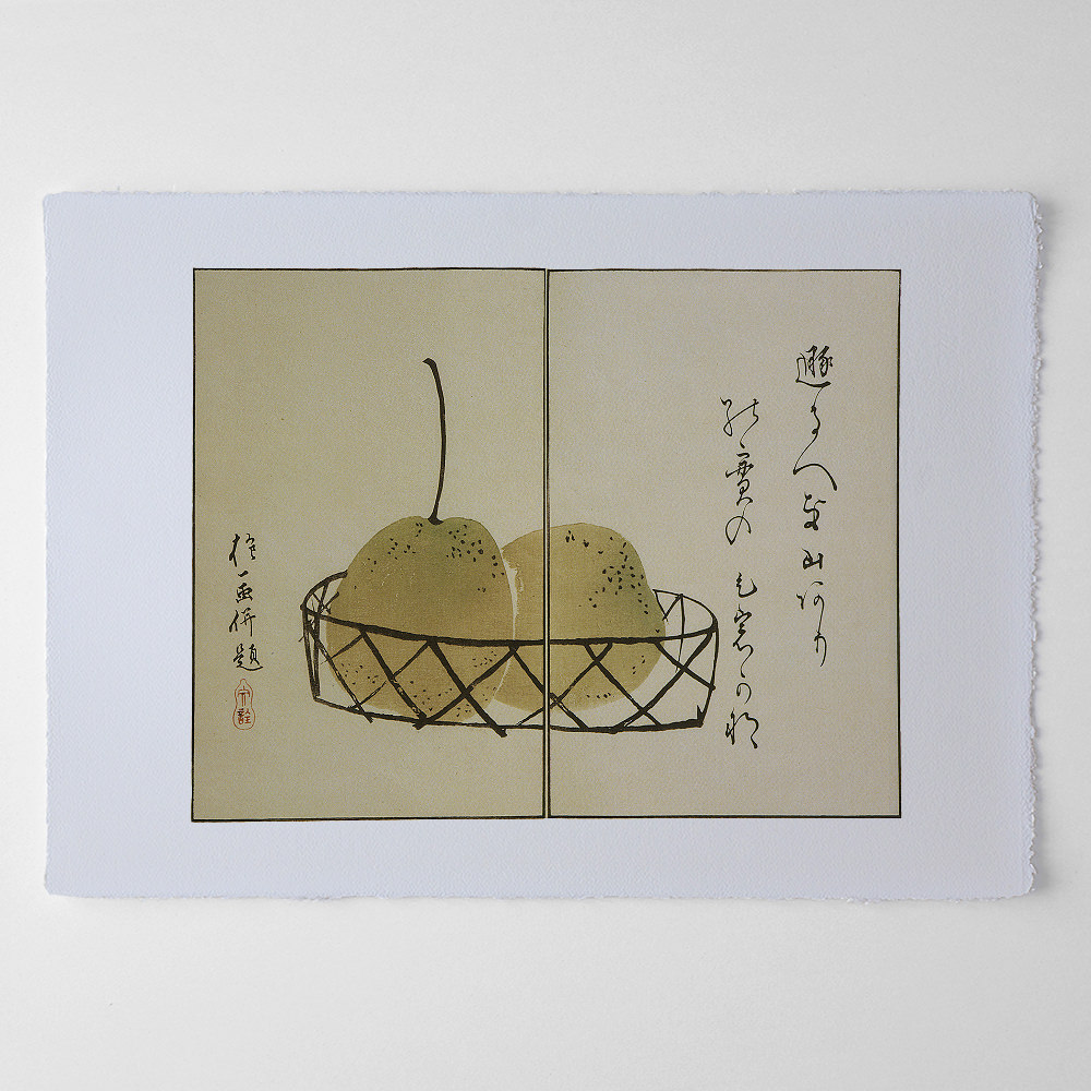 Sakai Hōitsu – Korb mit Birnen, japanischer Farbholzschnitt aus dem Album Ōson gafu