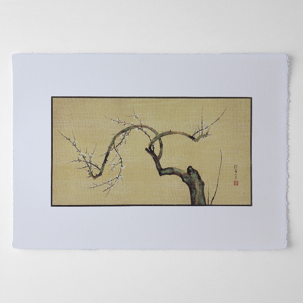 Sakai Hōitsu – Pflaumenblütenpaar 1/2, japanischer Farbholzschnitt auf Seide im Stil der Rinpa-Schule