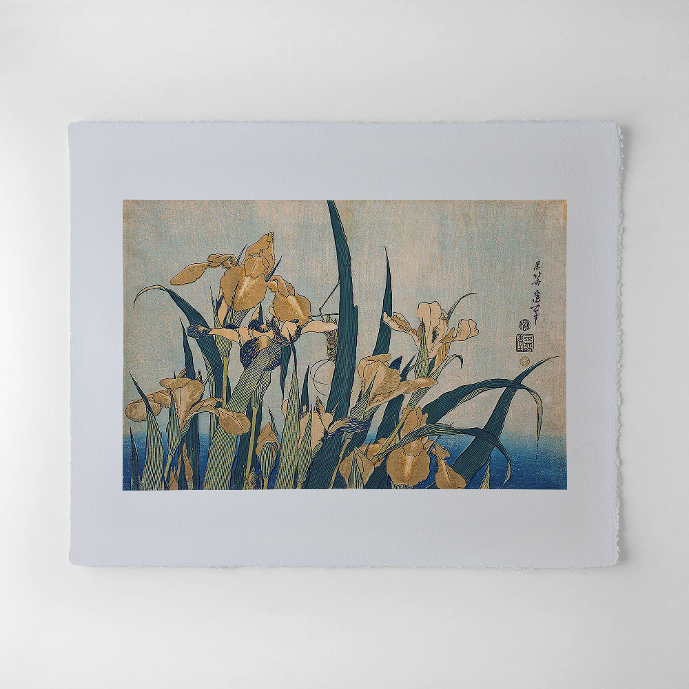 Katsushika Hokusai – Iris und Heuschrecke, japanischer Farbholzschnitt im Genre kachō-e