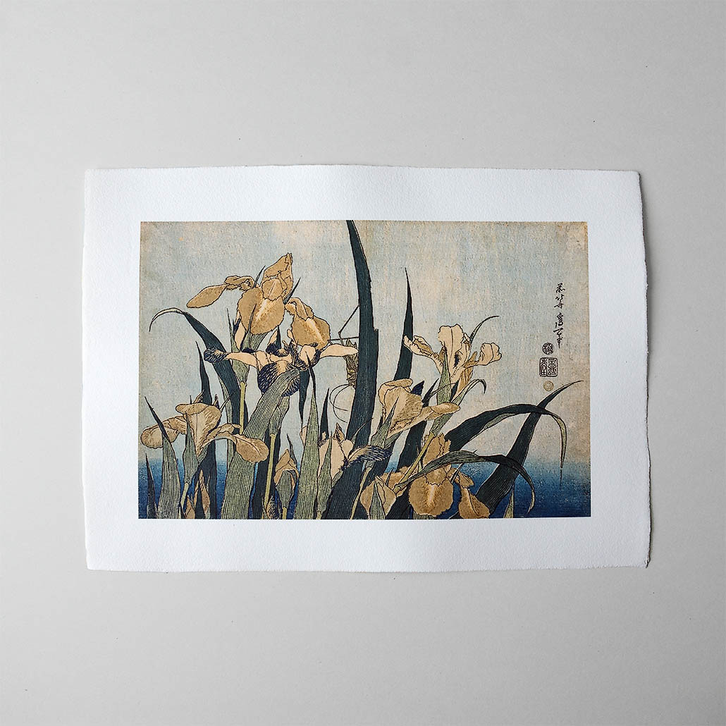 Katsushika Hokusai – Iris und Heuschrecke, japanischer Farbholzschnitt im Genre kachō-e
