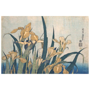 Katsushika Hokusai – Iris und Heuschrecke, japanischer Farbholzschnitt im Genre kachō-e