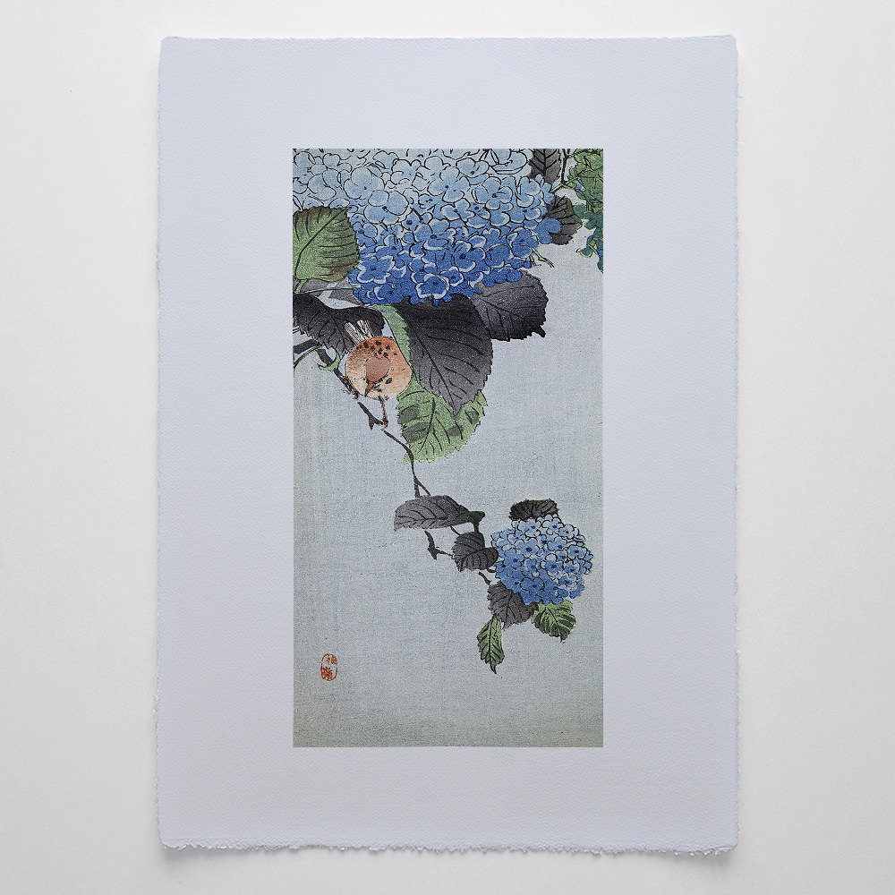 Vogel auf einer Hortensienblüte, japanischer Farbholzschnitt mit Naturmotiv