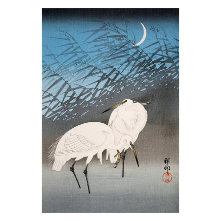 Ohara Koson – Reiher im Schilf, japanischer Farbholzschnitt im Stil shin-hanga