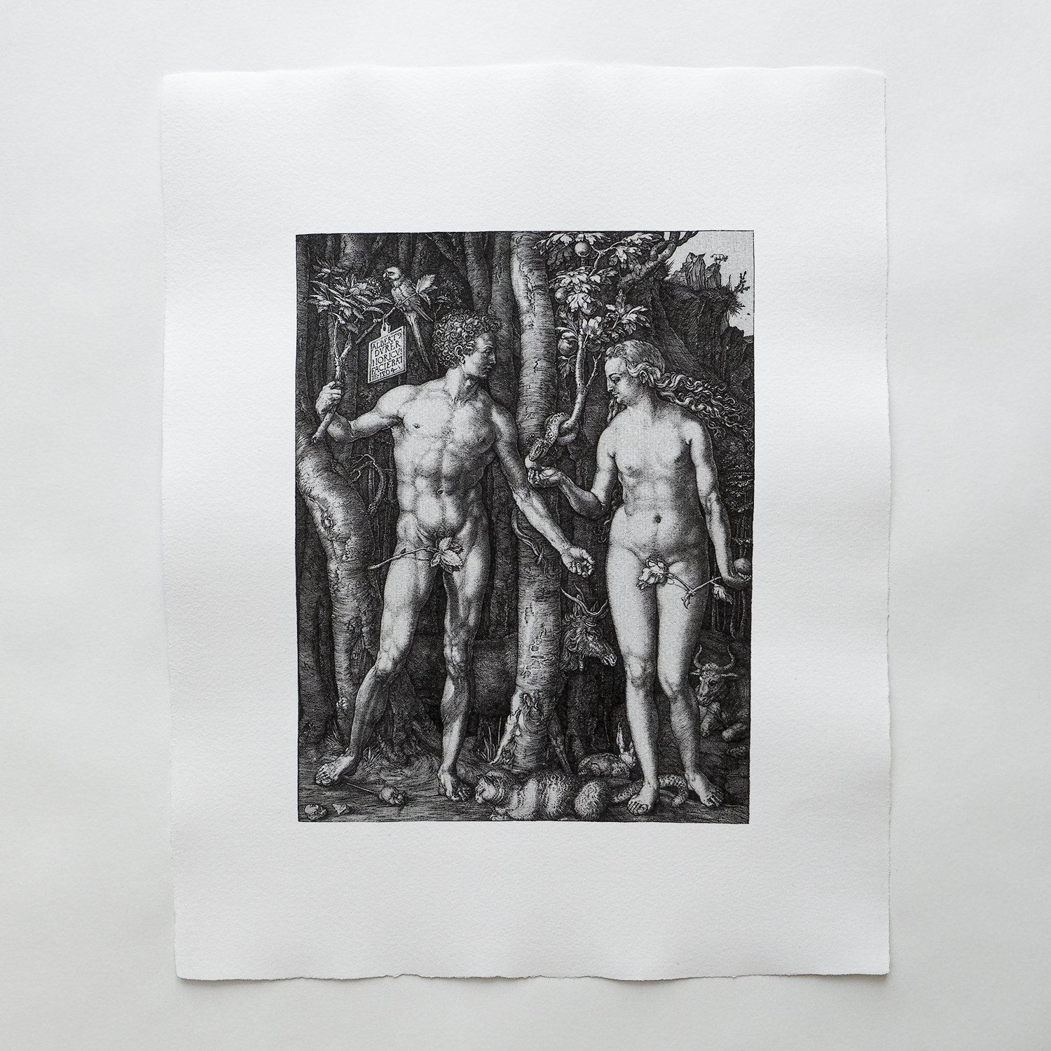 Albrecht Dürer Adam und Eva 1504 Kupferstich Schlange Apfel Tierdarstellungen