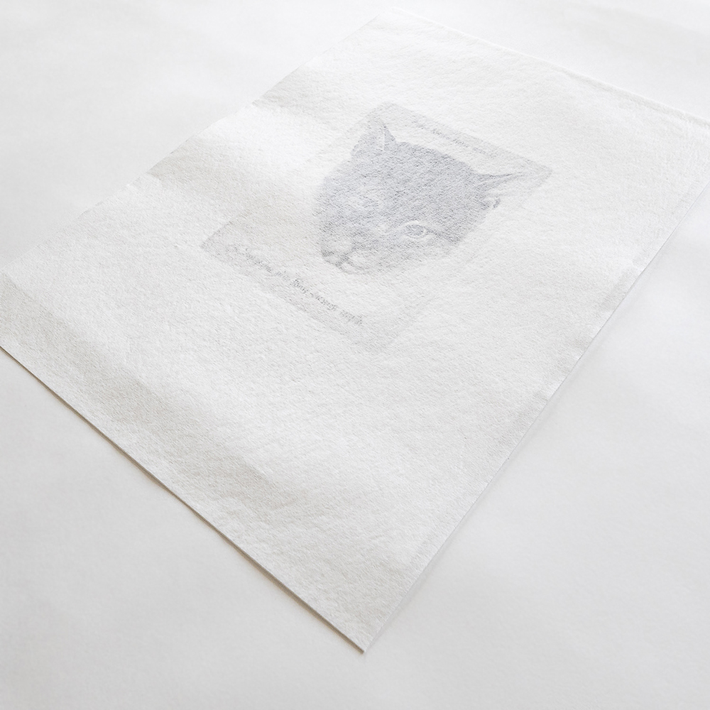 Wenzel Hollar Die gute Katze Radierung Katze Inschrift 17 Jahrhundert