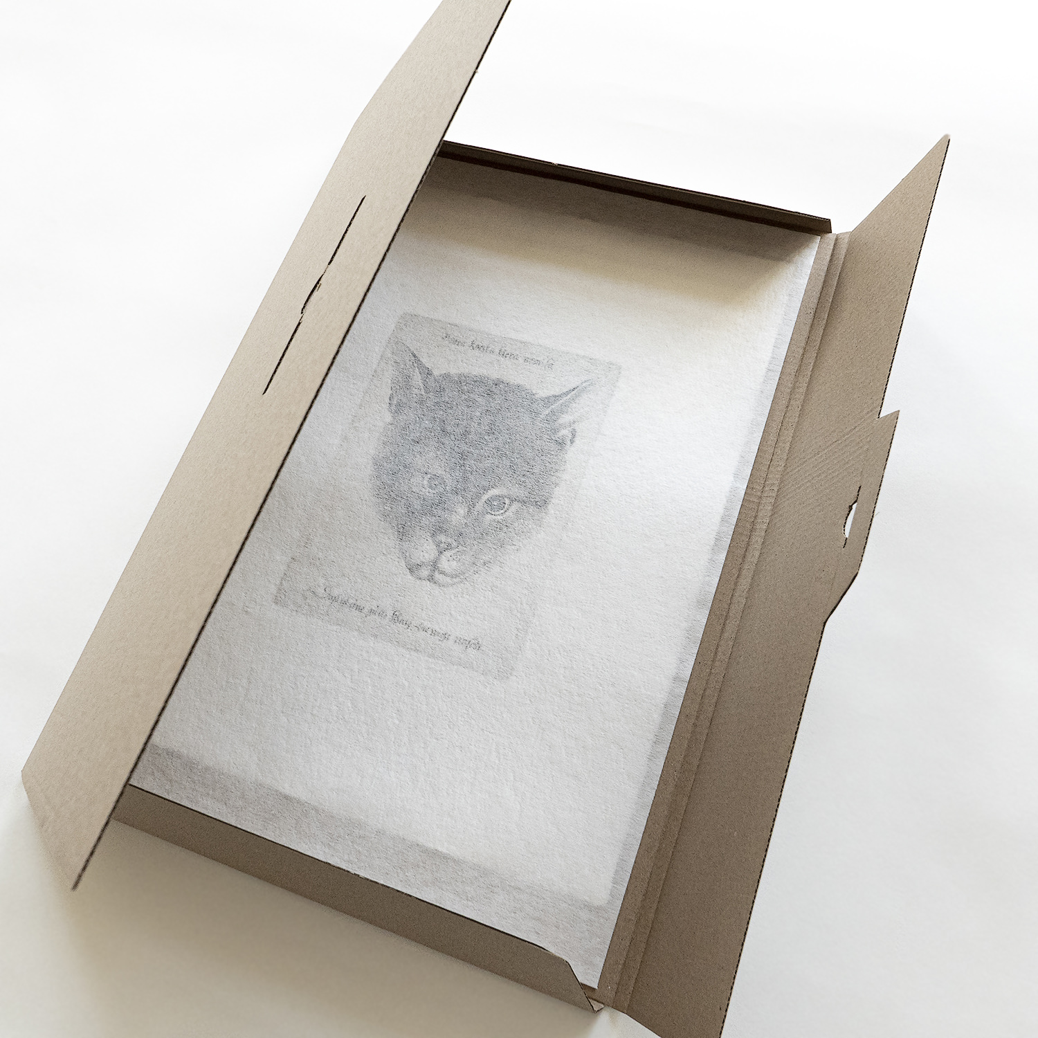 Wenzel Hollar Die gute Katze Radierung Katze Inschrift 17 Jahrhundert