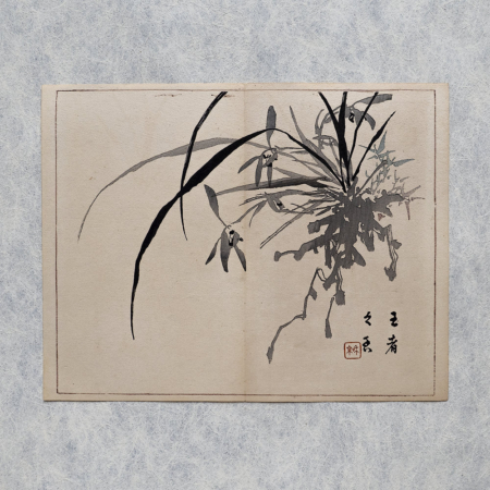 Taki Katei iris – japanischer Farbholzschnitt aus der Meiji-Zeit (1894)