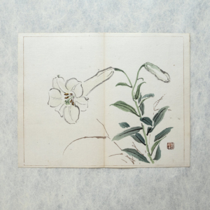 Taki Katei lilie – japanischer Farbholzschnitt aus der Meiji-Zeit (1894)