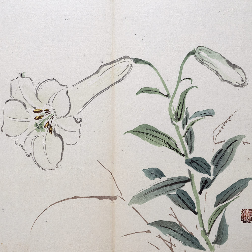 Taki Katei lilie – japanischer Farbholzschnitt aus der Meiji-Zeit (1894)