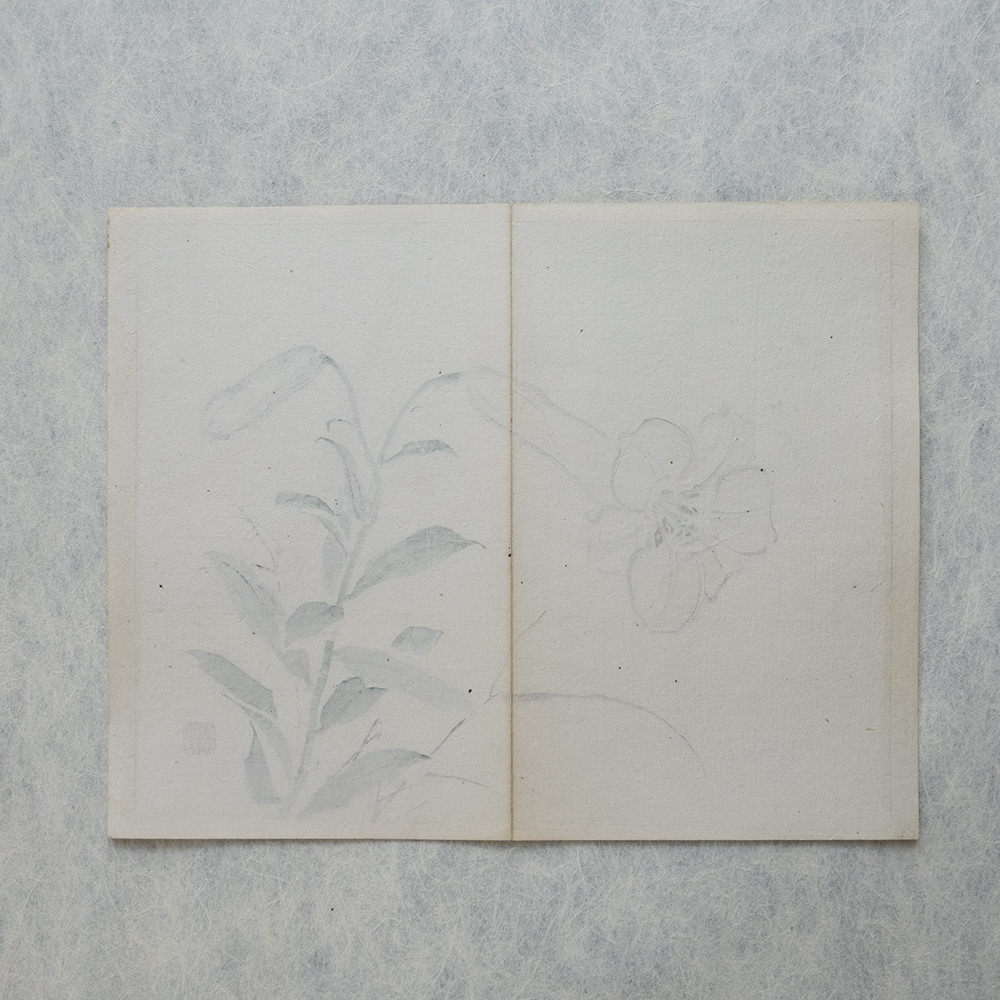 Taki Katei lilie – japanischer Farbholzschnitt aus der Meiji-Zeit (1894)