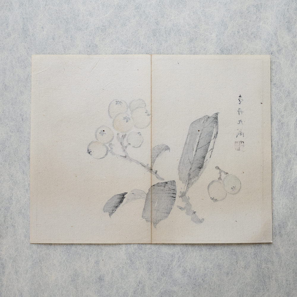 Taki Katei japanische mispel – japanischer Farbholzschnitt aus der Meiji-Zeit (1894)