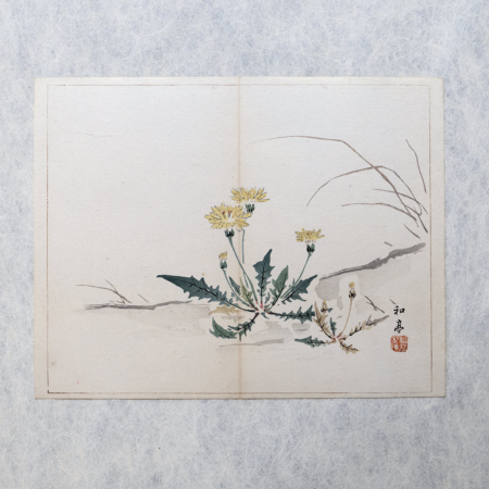 Taki Katei löwenzahn – japanischer Farbholzschnitt aus der Meiji-Zeit (1894)