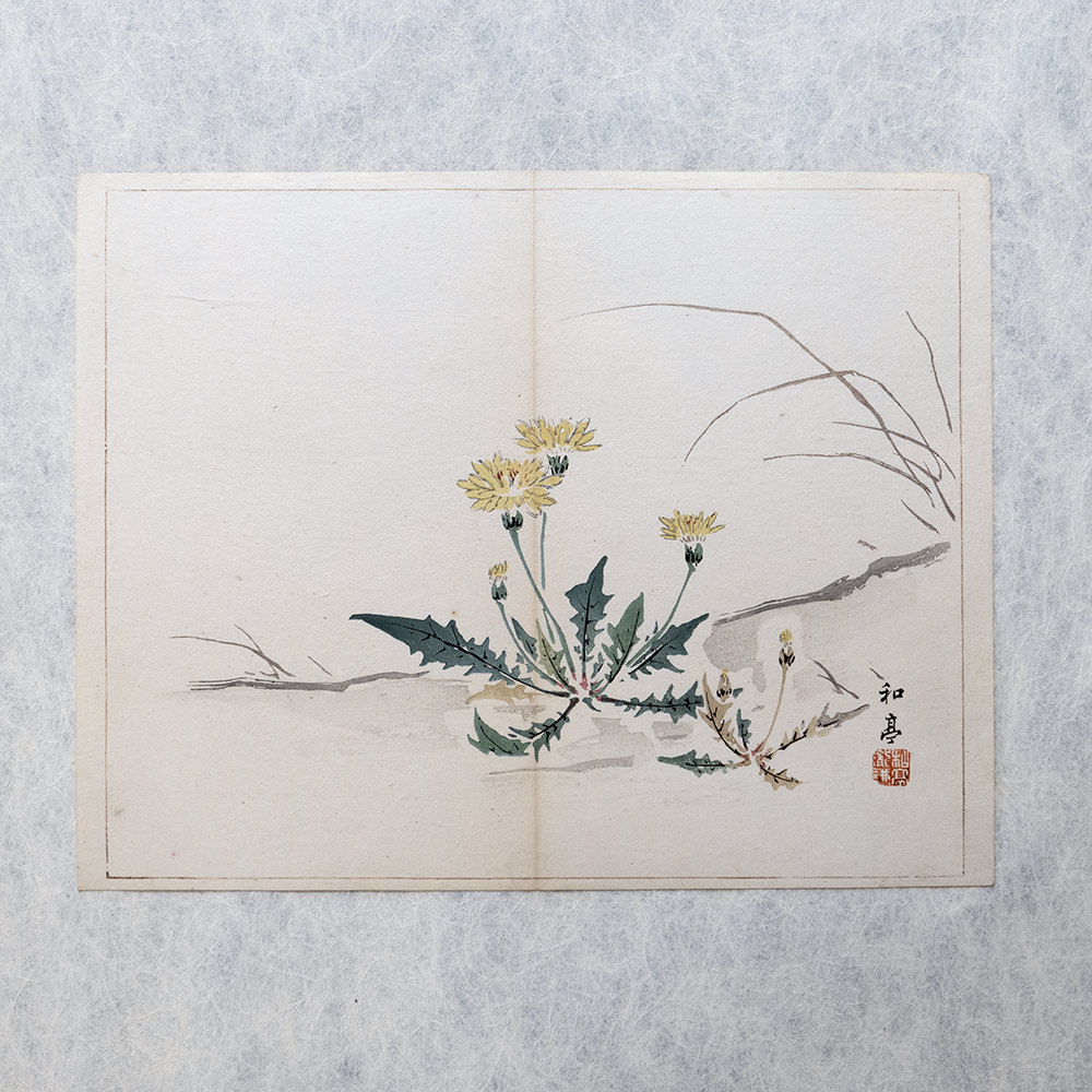 Taki Katei löwenzahn – japanischer Farbholzschnitt aus der Meiji-Zeit (1894)