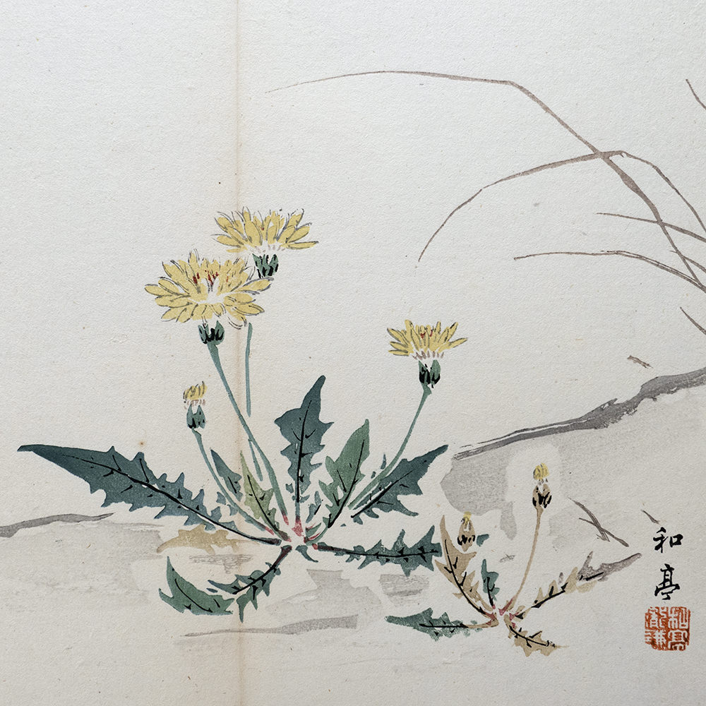 Taki Katei löwenzahn – japanischer Farbholzschnitt aus der Meiji-Zeit (1894)