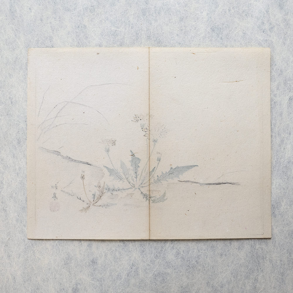 Taki Katei löwenzahn – japanischer Farbholzschnitt aus der Meiji-Zeit (1894)