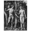 Albrecht Dürer Adam und Eva 1504 Kupferstich Schlange Apfel Tierdarstellungen