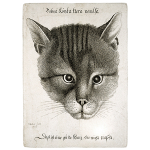 Wenzel Hollar Die gute Katze Radierung Katze Inschrift 17 Jahrhundert