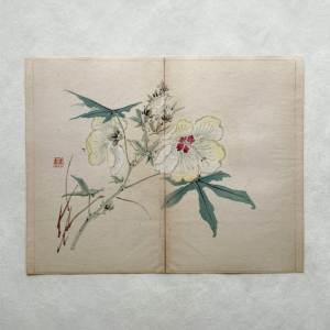 Taki Katei hibiskus – japanischer Farbholzschnitt aus der Meiji-Zeit (1894)