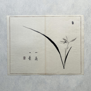 Taki Katei iris – japanischer Farbholzschnitt aus der Meiji-Zeit (1894)