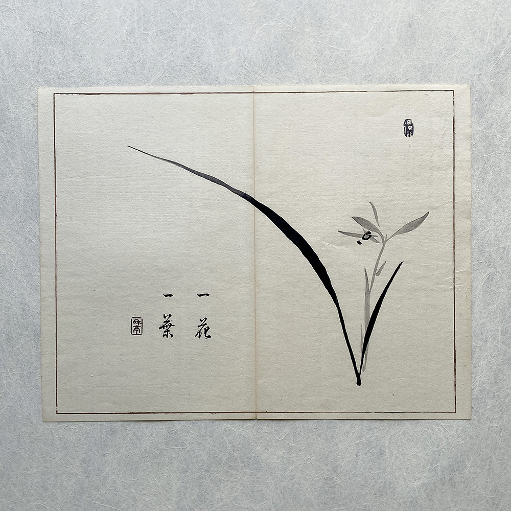 Taki Katei iris – japanischer Farbholzschnitt aus der Meiji-Zeit (1894)