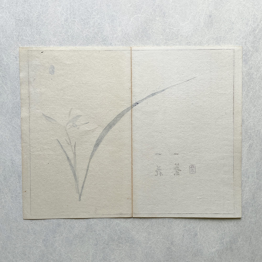 Taki Katei iris – japanischer Farbholzschnitt aus der Meiji-Zeit (1894)