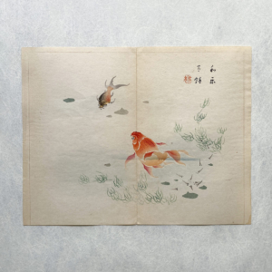 Taki Katei Fische – japanischer Farbholzschnitt aus der Meiji-Zeit (1894)