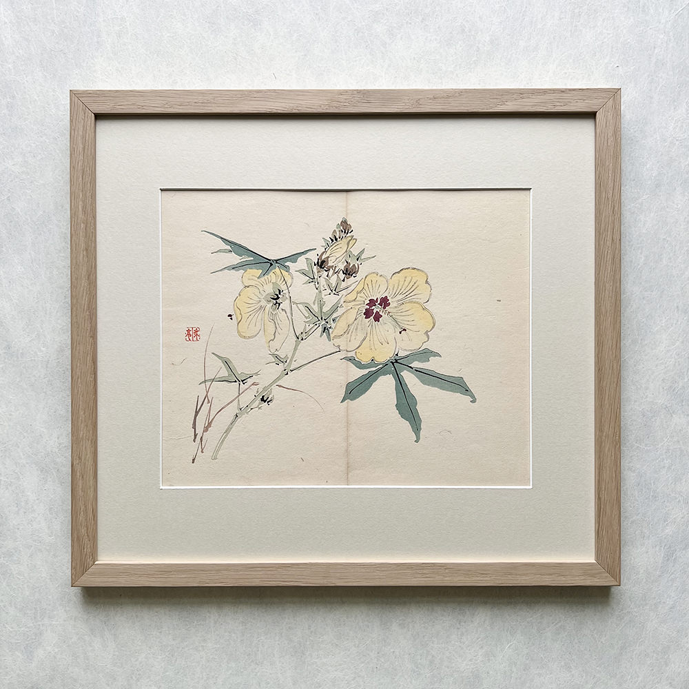Taki Katei hibiskus – japanischer Farbholzschnitt aus der Meiji-Zeit (1894)