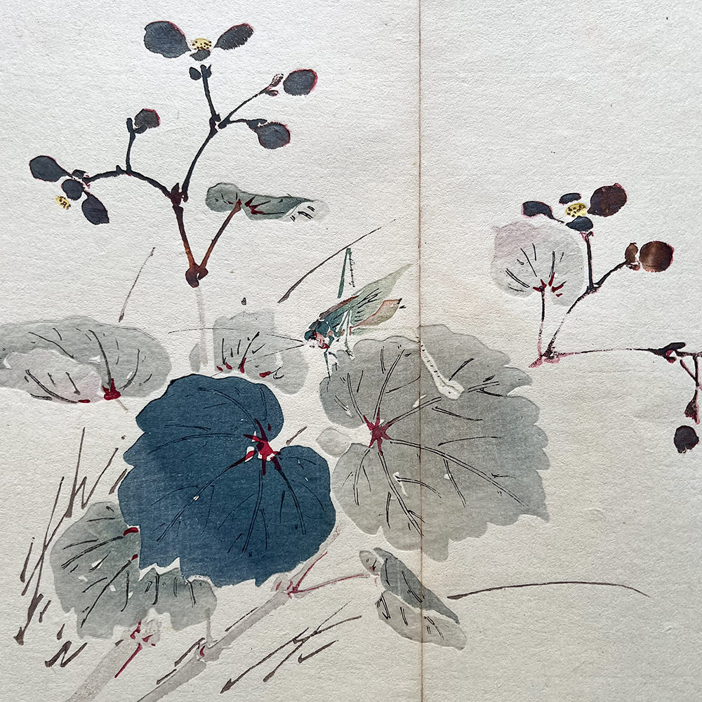 Taki Katei grashüpfer – japanischer Farbholzschnitt aus der Meiji-Zeit (1894)