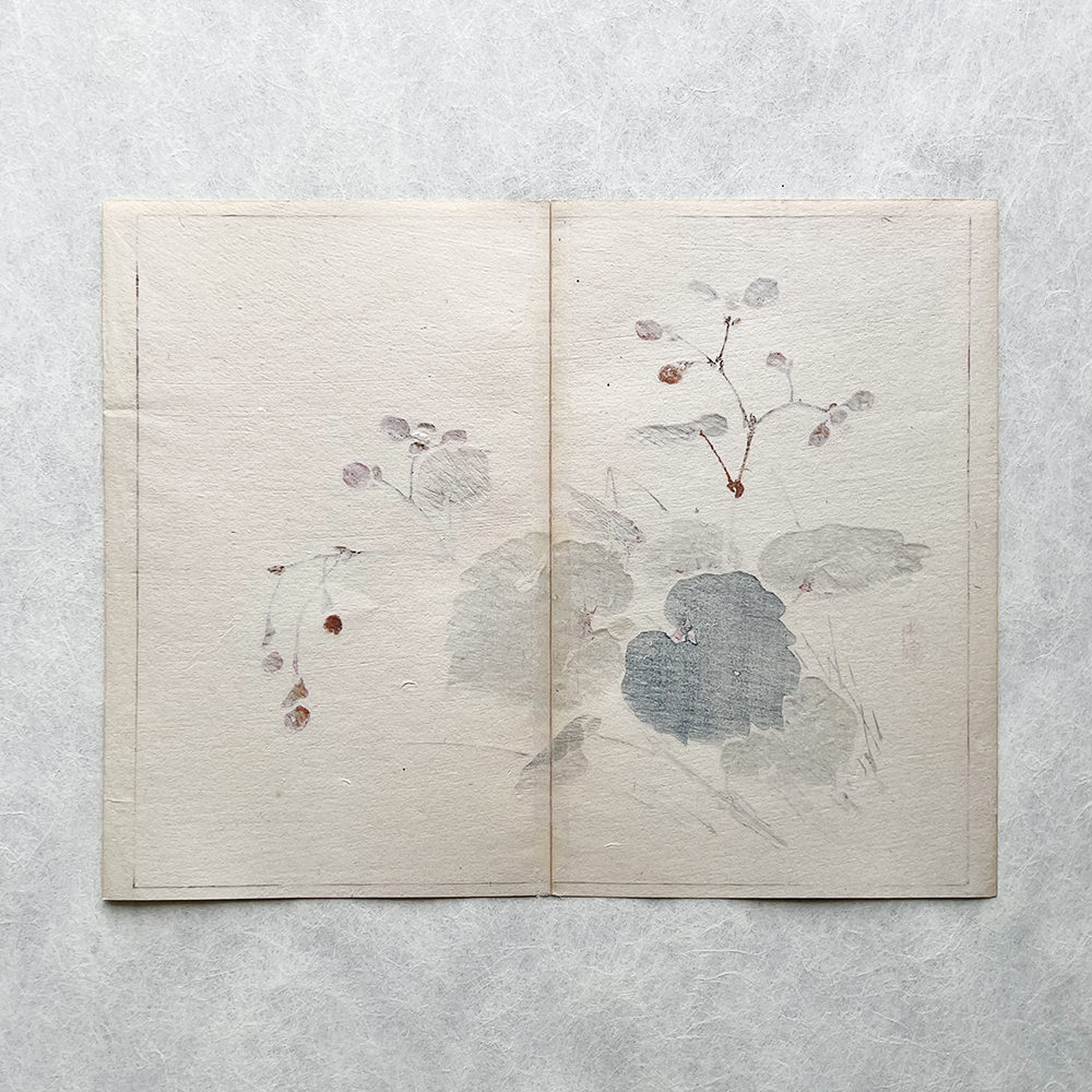 Taki Katei grashüpfer – japanischer Farbholzschnitt aus der Meiji-Zeit (1894)