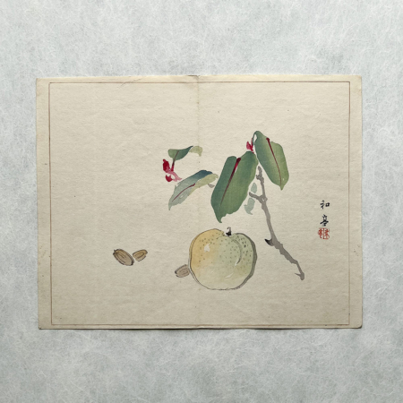 Taki Katei ume – japanischer Farbholzschnitt aus der Meiji-Zeit (1894)