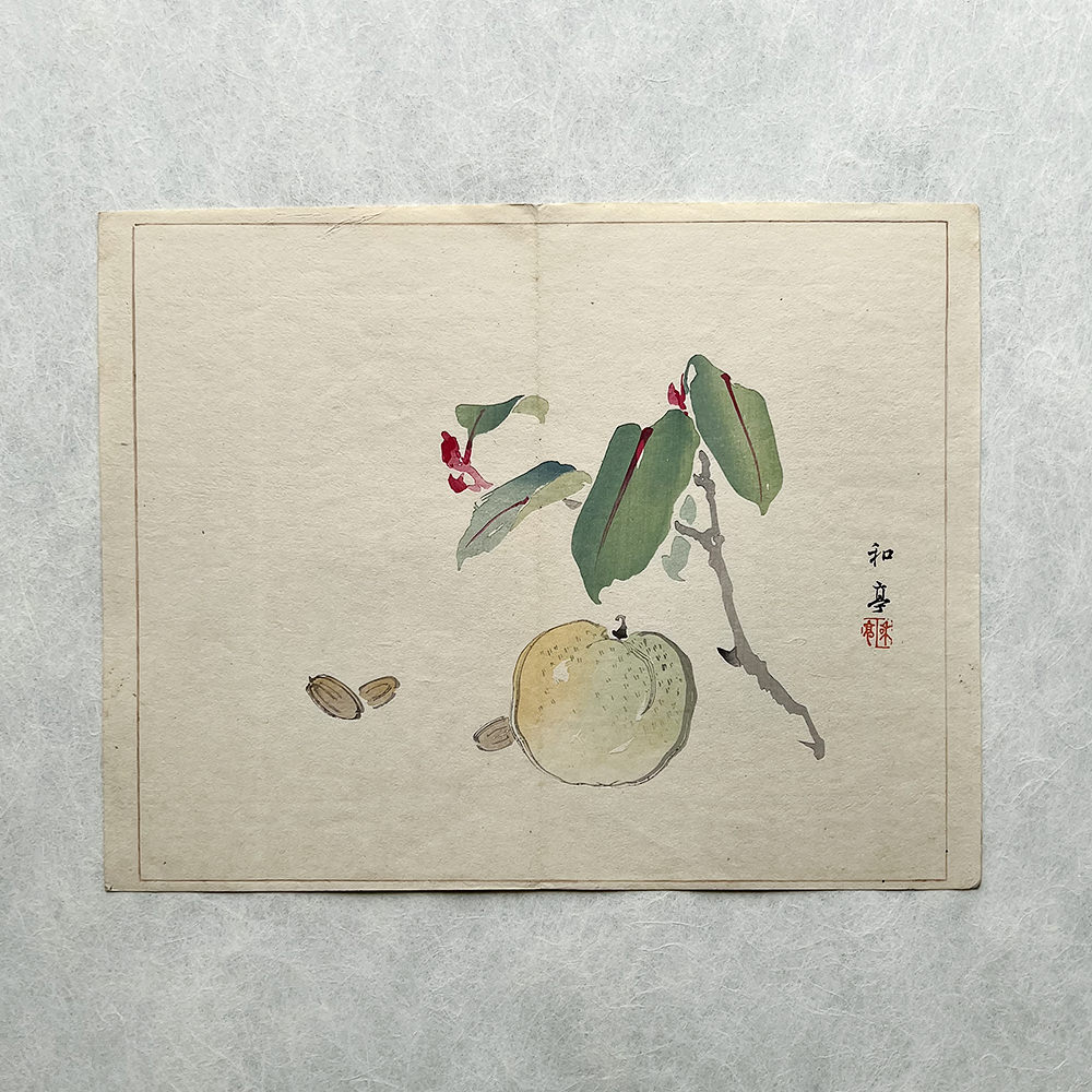 Taki Katei ume – japanischer Farbholzschnitt aus der Meiji-Zeit (1894)