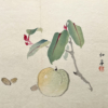 Taki Katei ume – japanischer Farbholzschnitt aus der Meiji-Zeit (1894)
