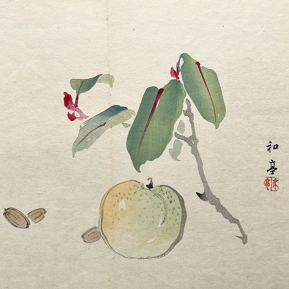 Taki Katei ume – japanischer Farbholzschnitt aus der Meiji-Zeit (1894)