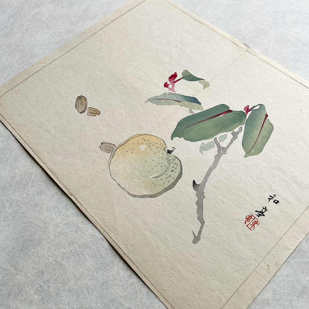 Taki Katei ume – japanischer Farbholzschnitt aus der Meiji-Zeit (1894)