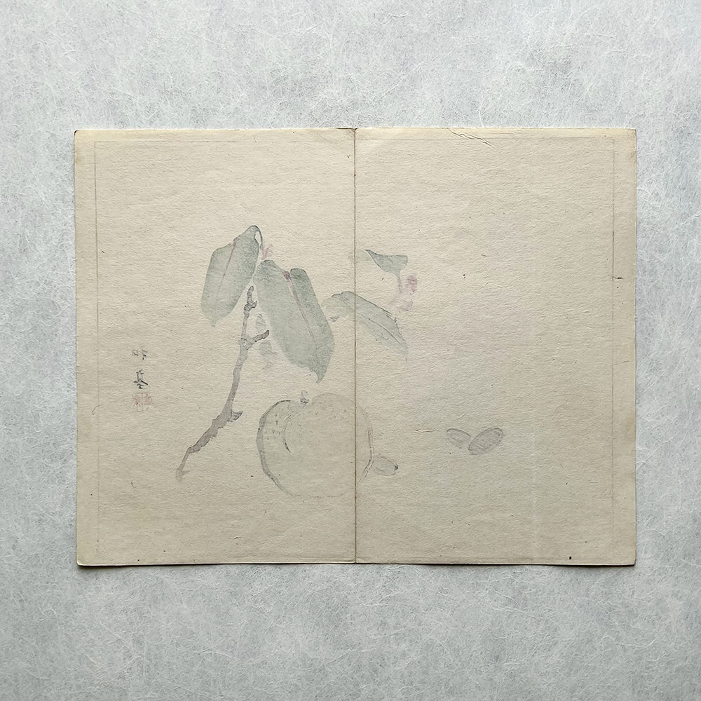 Taki Katei ume – japanischer Farbholzschnitt aus der Meiji-Zeit (1894)